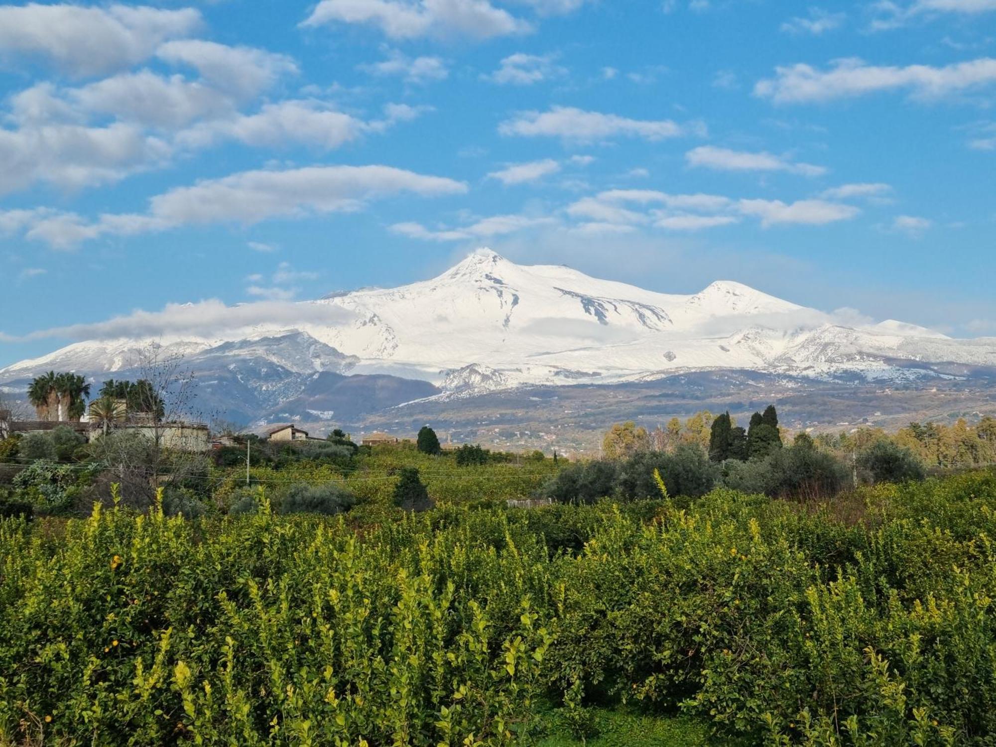 Le Dimore Del Corso II Ad Acireale Fra Catania, Taormina, Il Mare E L'Etna 外观 照片