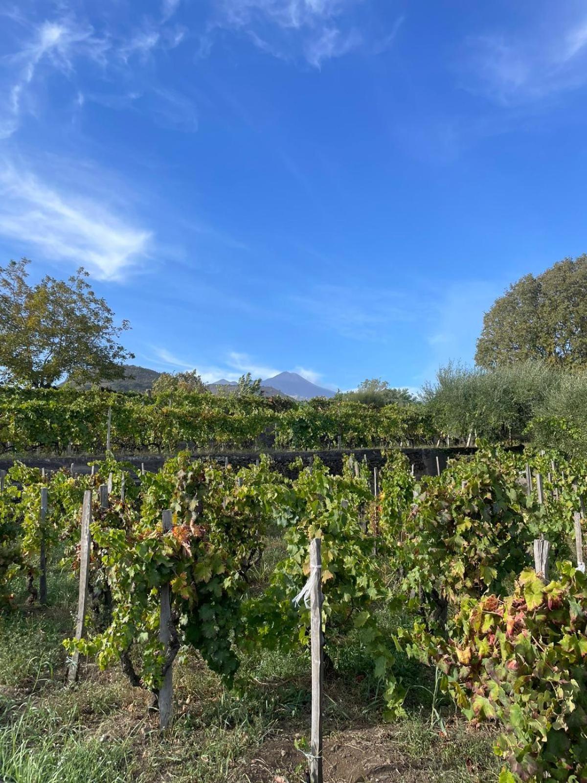 Le Dimore Del Corso II Ad Acireale Fra Catania, Taormina, Il Mare E L'Etna 外观 照片
